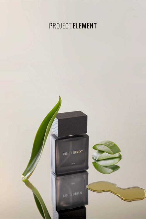 Agave Alley perfume bottle and box with green agave leaves